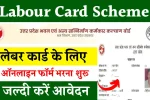 Labour Card Scheme