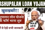 Pashupalan Loan Yojana